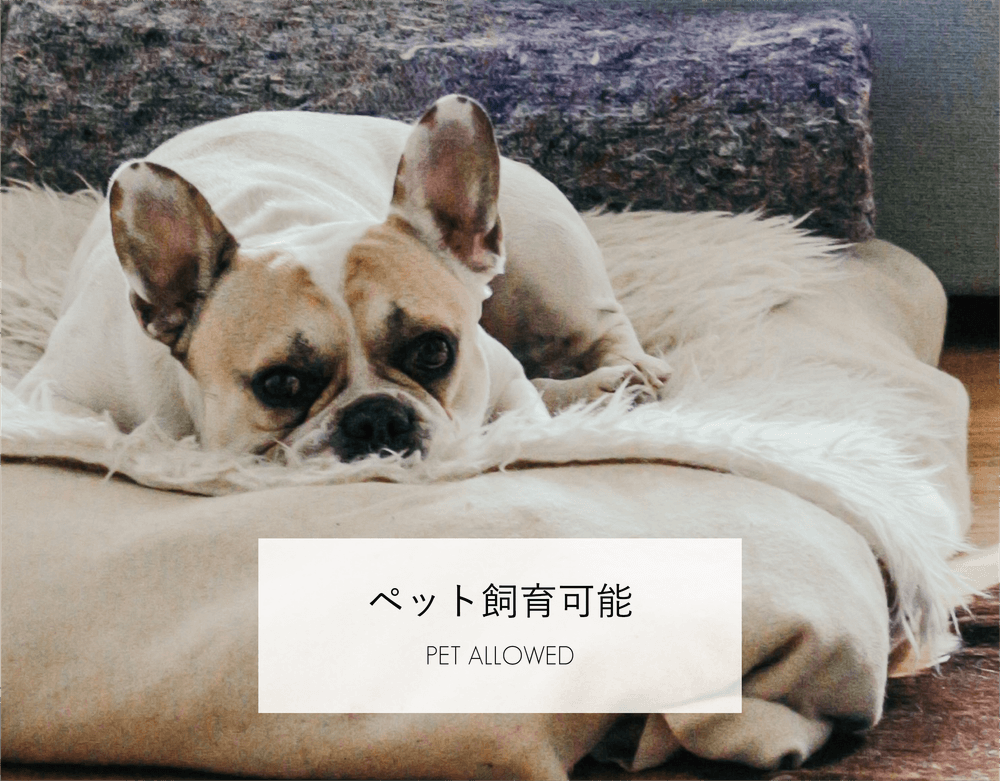 ペット飼育可能